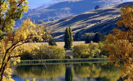 Autumn in Queenstown New Zealand at Spinnaker Bay Executive Apartments