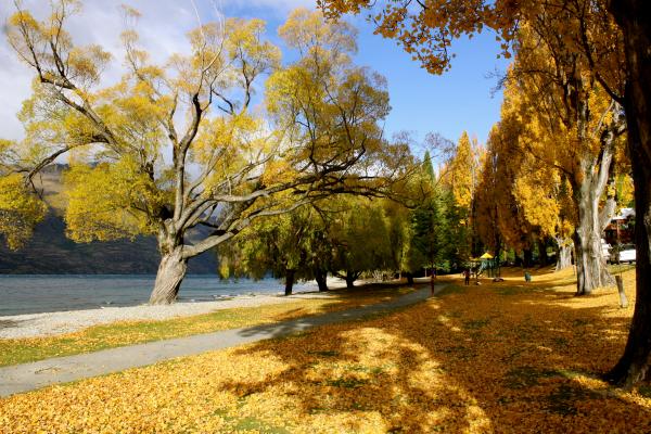 Autumn in Queenstown