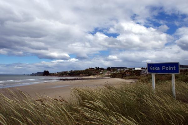 kaka point Caitlins