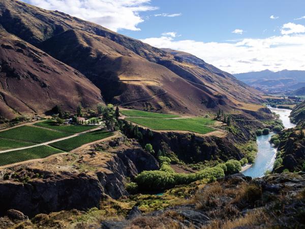 chard farm queenstown